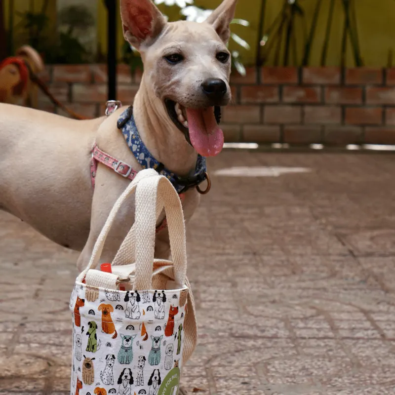Tilly sitting beside a printed tote bag, looking up